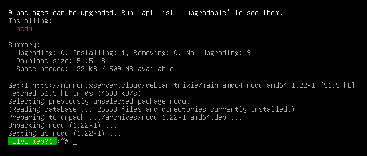 Встановлення пакета через apt у повній Live OS із дзеркала XServer