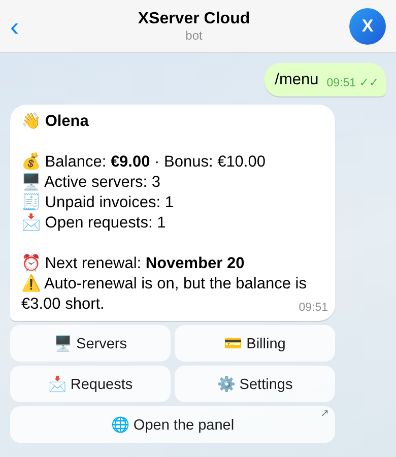 Bot menu: balance, servers, requests and the next renewal